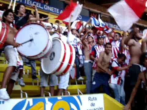 "Las Gallinas son asi / dale dale rebano....." Barra: Legión 1908 • Club: Chivas Guadalajara