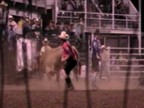 Rising Stars Ranch Splat kat and sons