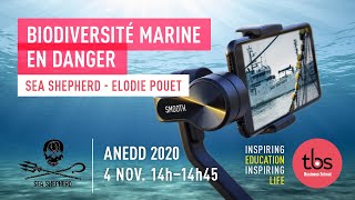 Biodiversité marine en extinction (Sea Sheperd)