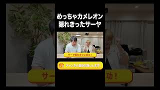 めっちゃカメレオン隠れ切ったサーヤ【ラランド切り抜き】#shorts