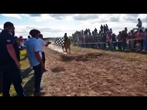 Raid para caballos de la zona y Raid de petizos - Pista Recalde - Fraile Muerto 23/11/2025