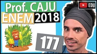 Enem Um Produtor De Milho