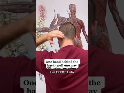 How to Crack Your Neck SAFELY - Effective Neck Cracking Stretch to do At Home