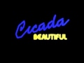 Cicada - Beautiful 