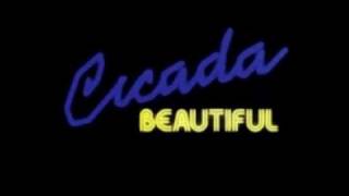 Cicada - Beautiful