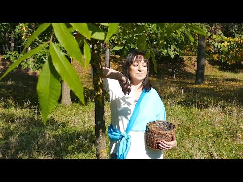 Martha Elefteriadu: Proměna (2019)