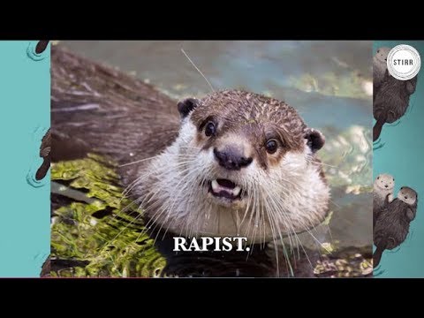 download lagu mp3 mp4 Otter Rapist, download lagu Otter Rapist gratis, unduh video klip Otter Rapist