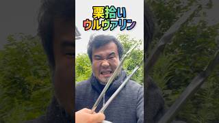 栗拾いウルヴァリン