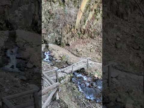 Passeggiata della salute Tai Chi Sentiero  Castello di Mancapane a Montagna Valtellina Sondrio