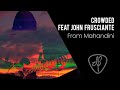 Dewa Budjana - Crowded (Feat. John Frusciante)