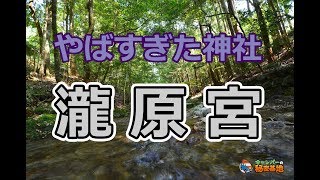 ヤバすぎた神社⁉ 瀧原宮