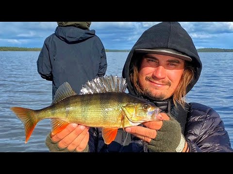 AHVENENKALASTUSTA KUUSAMOSTA | KIRKKAIDEN VESIEN KASVATIT | KUUSAMO TOUR | ORKA SHAD TAIL | RUKA