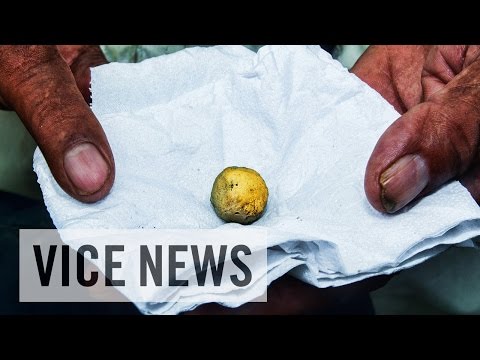 Poisoned by the Gold Rush - VICE