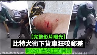 [黑特] 狗484對綠色過敏