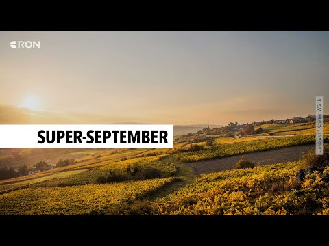 Altweibersommer in der RON-Region | RON TV
