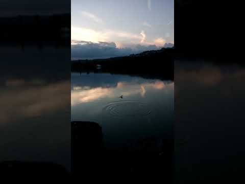 tour au lac kir dijon