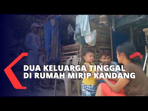 Dua Keluarga Tinggal di Rumah Mirip Kandang