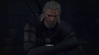 人妻witcher3 Wildhunt :GOTY #2