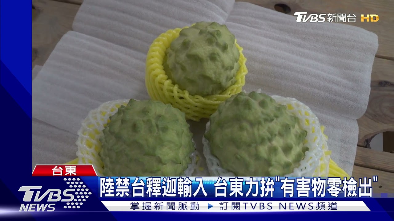 上萬噸鳳梨釋迦將採收　台東盼啟外銷通路