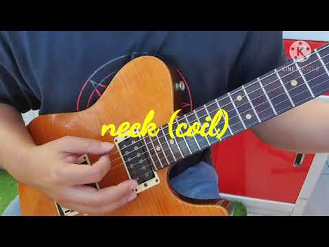 Tom Anderson cobra T (1994)