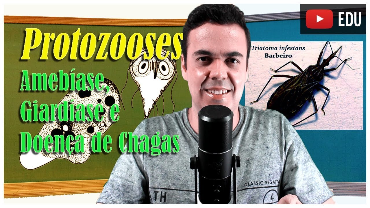Protozooses - Amebíase, Giardíase e Doença de Chagas