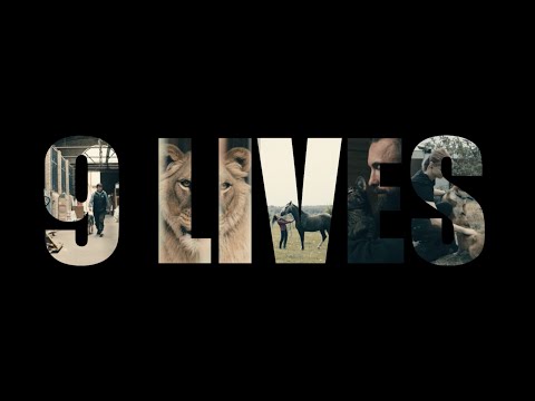 NINE LIVES Official Trailer