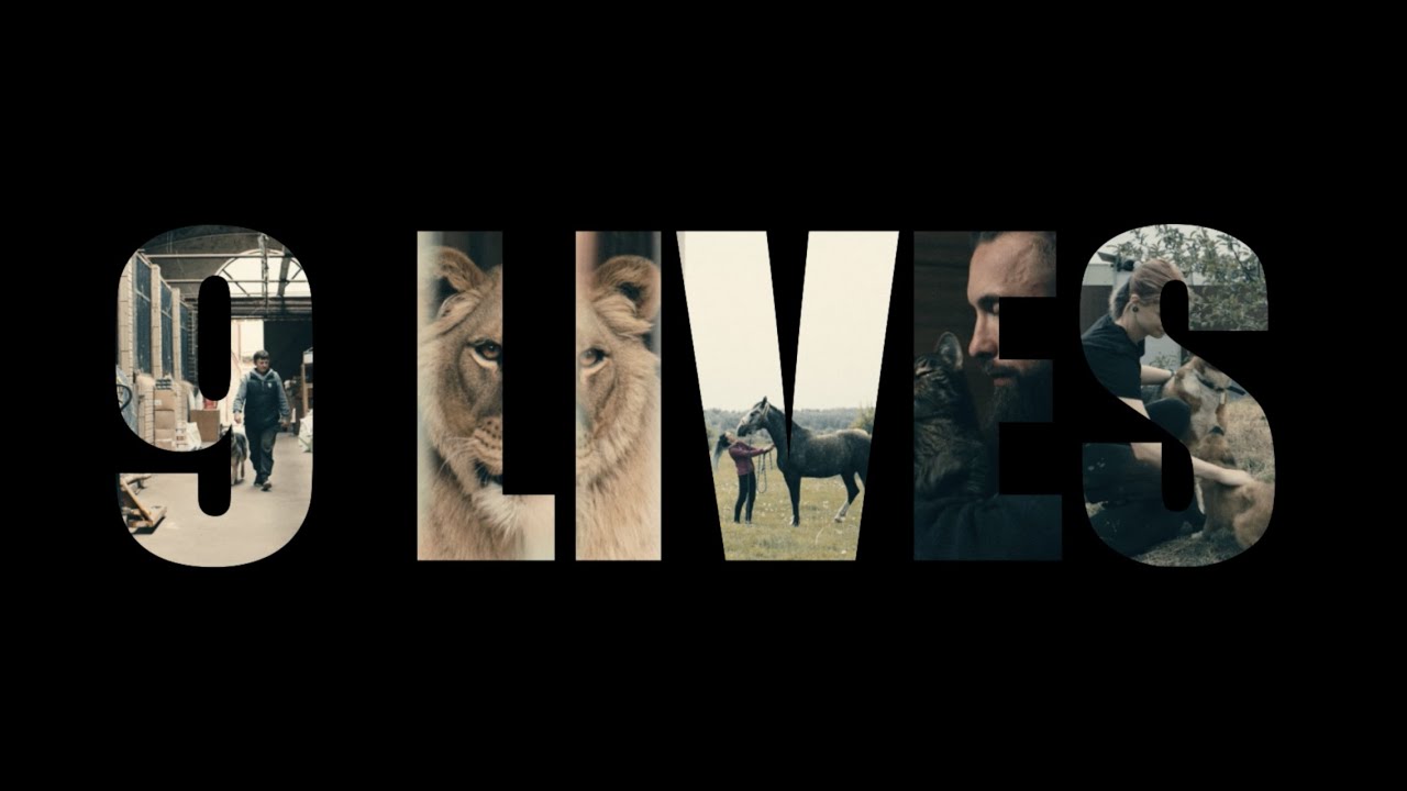 NINE LIVES Official Trailer