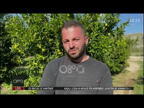 Edicioni informativ - 12 Nëntor 2022 - Ora 12:00 - RTV Ora