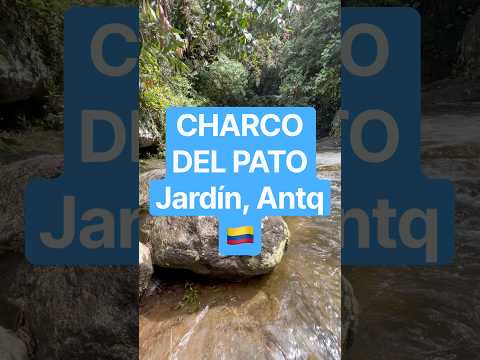 CHARCO DEL PATO 🦆 Jardín Antioquia 🇨🇴 Colombia