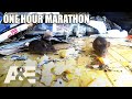 Hoarders Most INTENSE Infestations One Hour Compilation A E