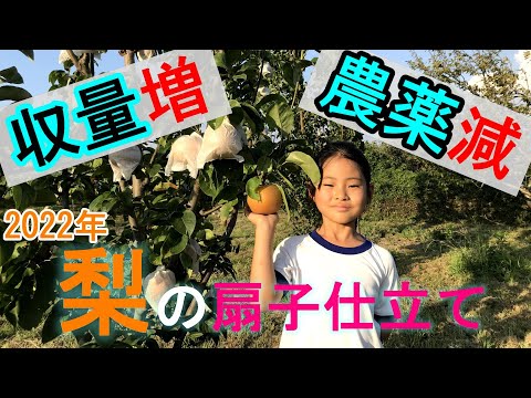 梨の木を植える：時期と方法、そしてメンテナンスのヒント！  庭園