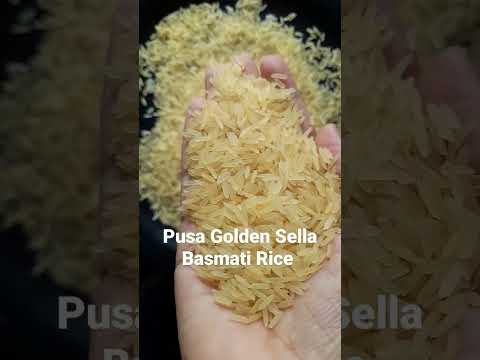 Pusa golden sella basmati rice
