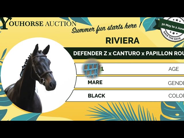 Riviéra loose jumping
