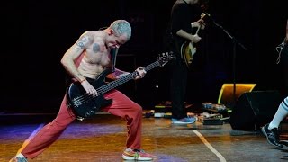 [HQ] Red Hot Chili Peppers - Can&#39;t Stop (Lollapalooza Argentina 2014)