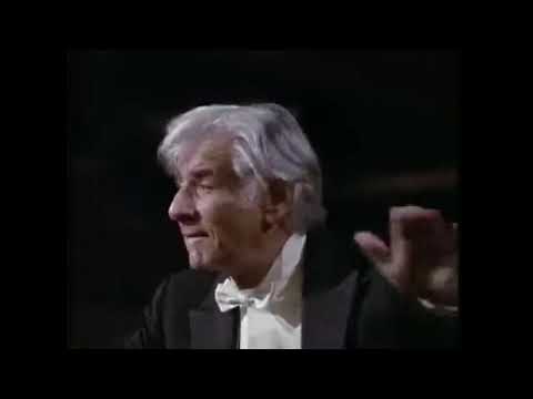 Beethoven Symphony No 4 in B flat major Op 60 Leonard Bernstein 360p