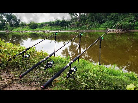 Muddy River Carp Fishing! (HARD FIGHTING Fish)