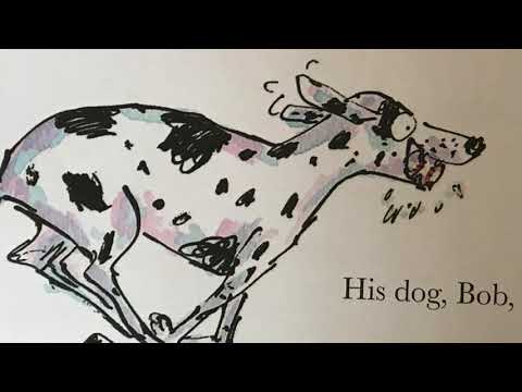 Bob Not Bob read aloud