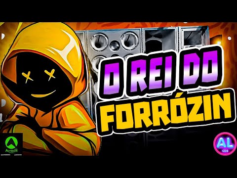 O REI DO FORRÓZIN - FORRÓZIN AS MELHORES 2025 - FORRÓZIN PRA TOMAR UMA - AS MELHORES PRA PAREDÃO