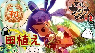 #2【天穂のサクナヒメ】初🔰『田植え』に挑戦!!🍙米は力だ!🍙本格お米作りアクションRPG【てんすいのさくなひめ 】実況『ゆにみりおん』