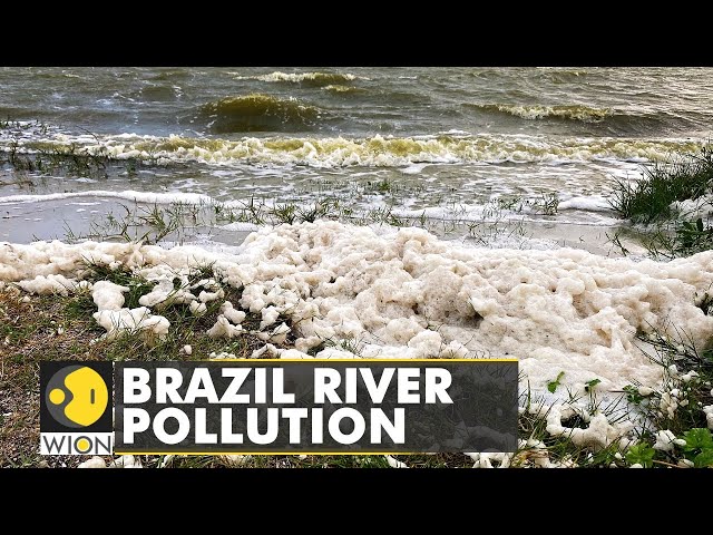 Brazil: Tiete river becomes a dumping ground for industrial waste |WION News | Sao Paolo |World News
