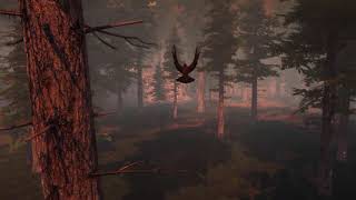 Take Control Of Ako's Spirit Companion - Wolf Bird