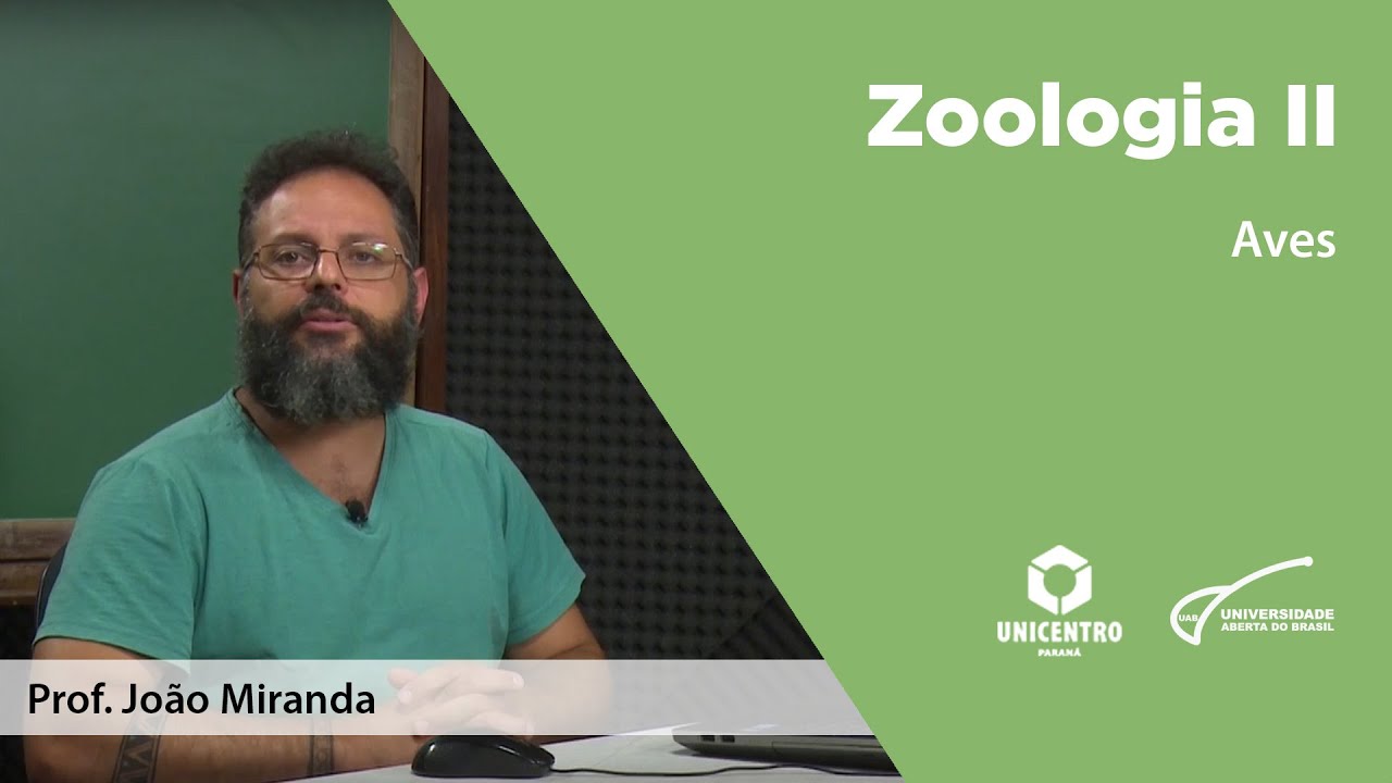 [BIO] Aves - Zoologia II