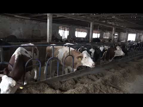 Naša priča 11.01.2019. NAJAVA