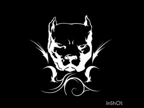 Shux - Stories Of Tha Streets (Limska Frakcija)