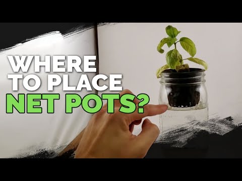 How to Prepare Water for Hydroponics