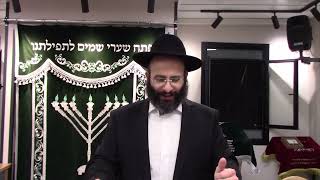 מה יחס התורה לקוראן