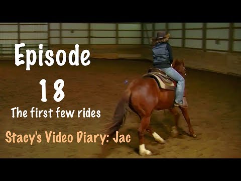 Stacy's Video Diary: Jac-Episode 18-  Keeping the colt soft and willing during first rides