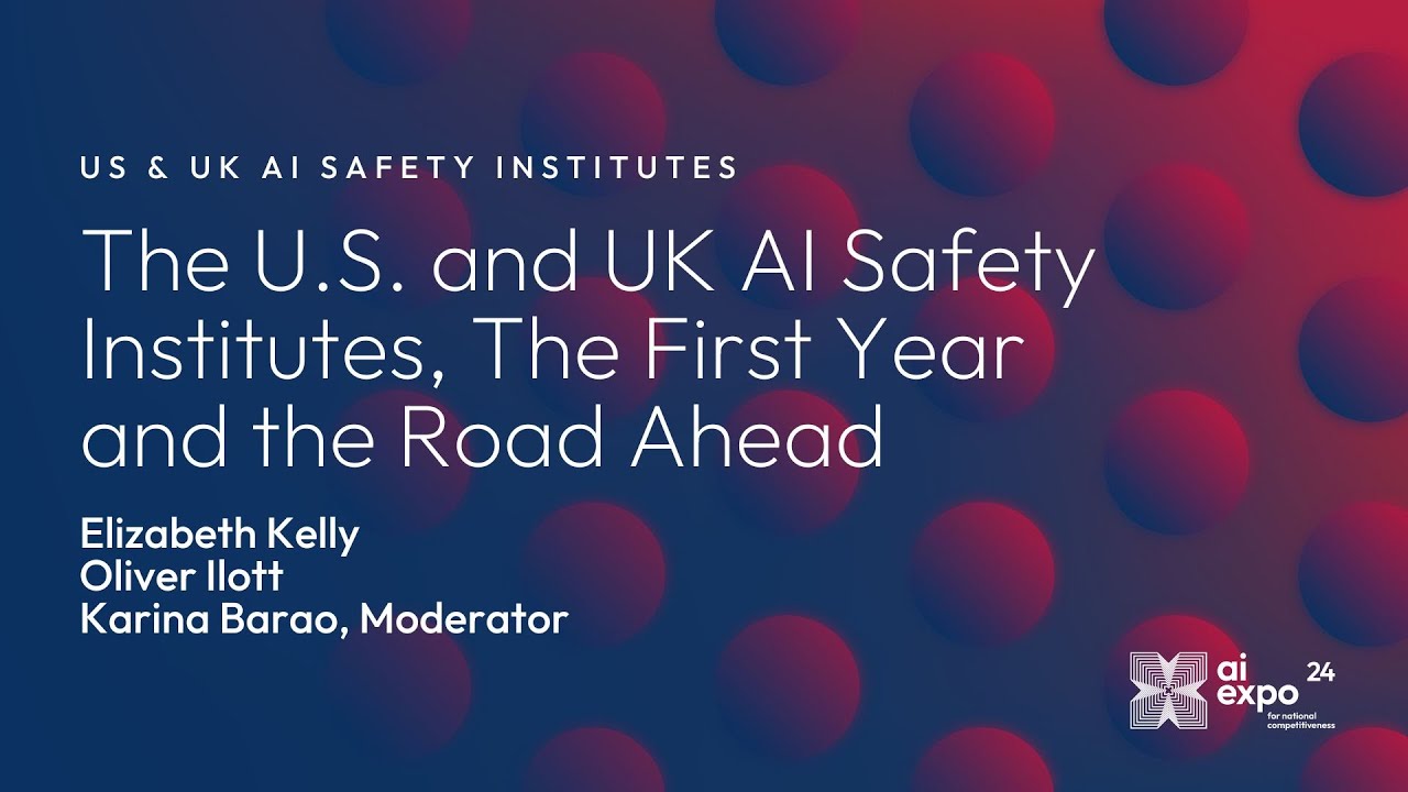 US and UK AI Safety Institutes, The First Year and the Road Ahead