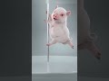 Cute Pig Dancing Pole Dance Funnyanimal Shorts
