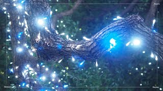 Rikha Async | Wintering Replay - teaser
